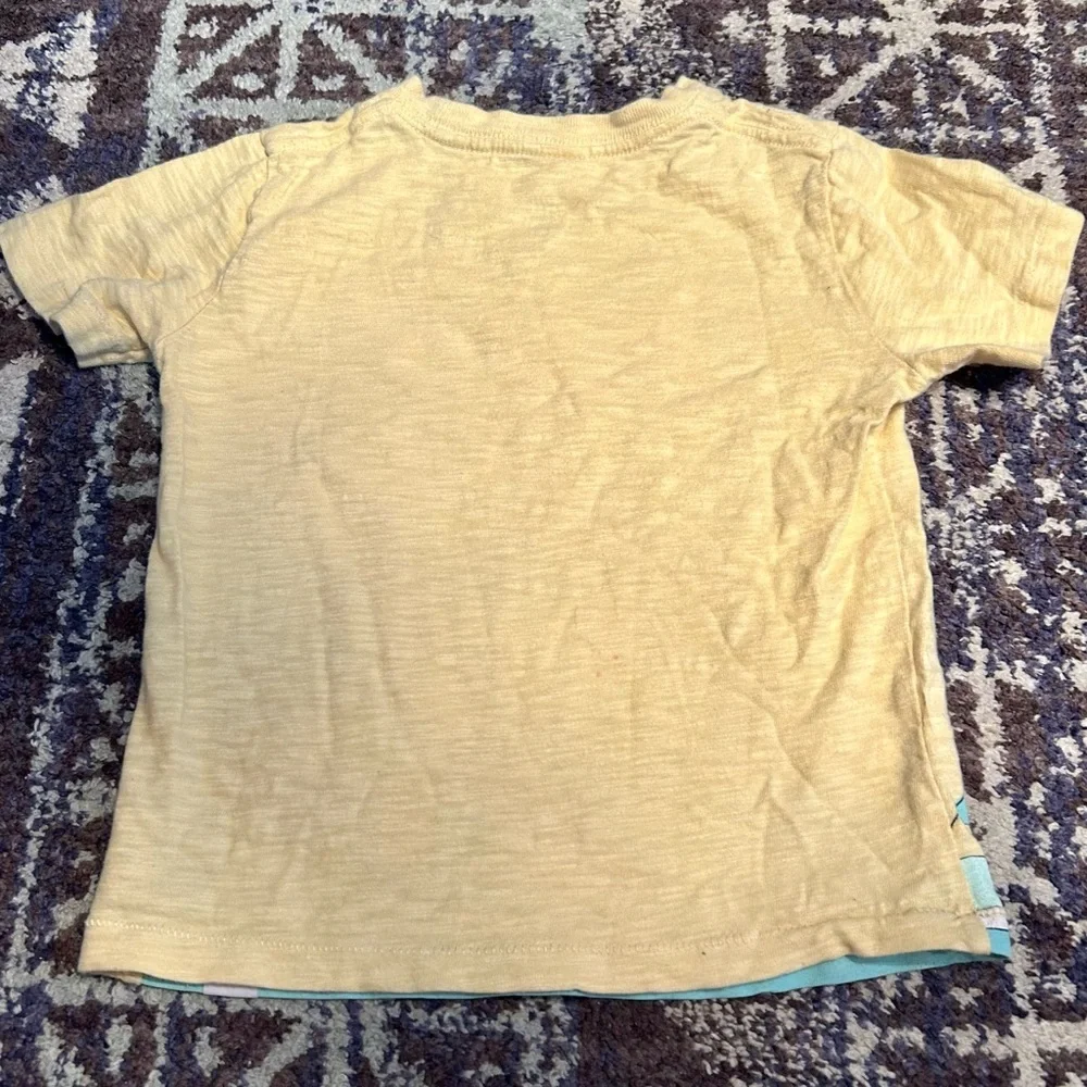 GAP Kids Yellow Tee with Iguana and Stripes and Skull 4T